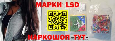 МДПВ Бердск