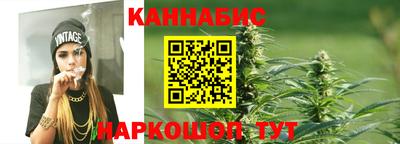 МДПВ Бердск