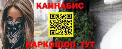 МДПВ Бердск
