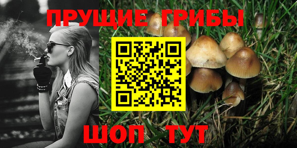Галлюциногенные грибы MAGIC MUSHROOMS Бийск