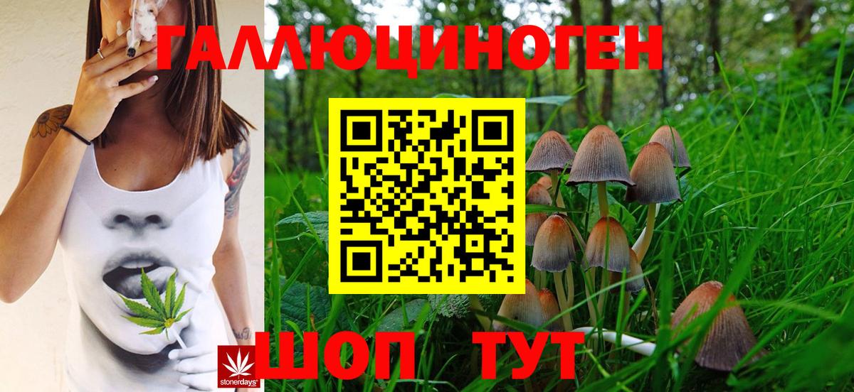 Псилоцибиновые грибы Magic Shrooms  где купить наркотик  Псилоцибиновые грибы мицелий  Бийск  Вход с VPN 